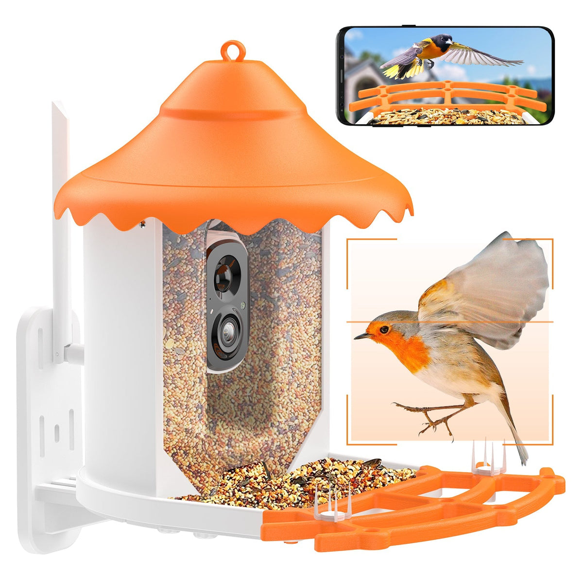 Intelligentes Vogelfutterhaus mit WLAN Kamera, 1080P HD-Vogelvideos, KI-Identifizierung von 10.000+ Vogelarten, App-Benachrichtigung, Outdoor mit Solarpanel