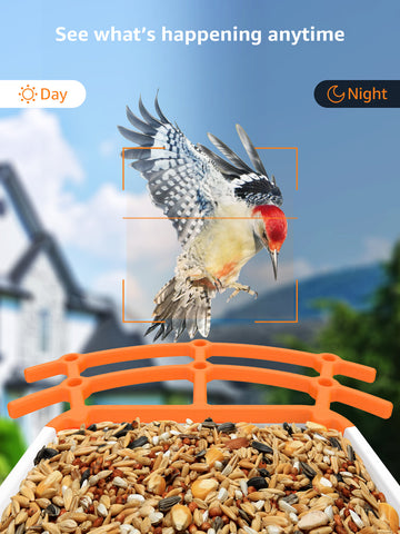 Intelligentes Vogelfutterhaus mit WLAN Kamera, 1080P HD-Vogelvideos, KI-Identifizierung von 10.000+ Vogelarten, App-Benachrichtigung, Outdoor mit Solarpanel