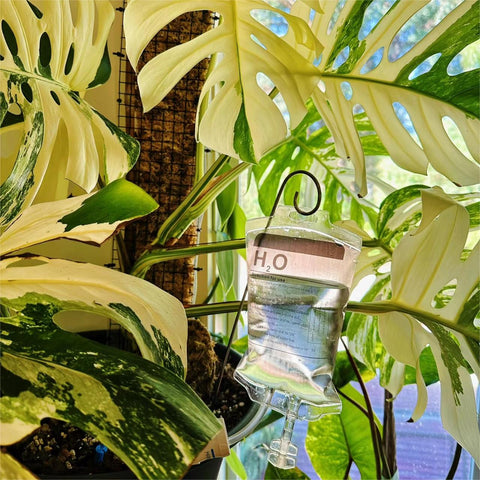 Automatisches Bewässerungsgerät für Zimmerpflanzen, Tropfbewässerungsbeutel mit einstellbarem Durchfluss, Pflanzenlebensunterstützung, Garten Geschenke